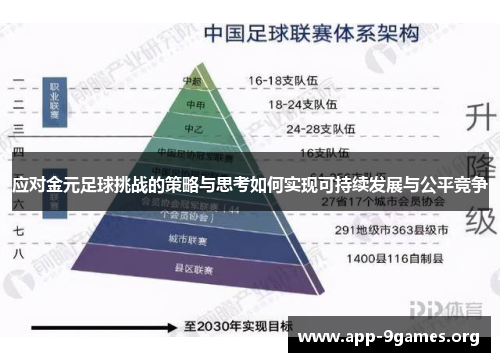 应对金元足球挑战的策略与思考如何实现可持续发展与公平竞争