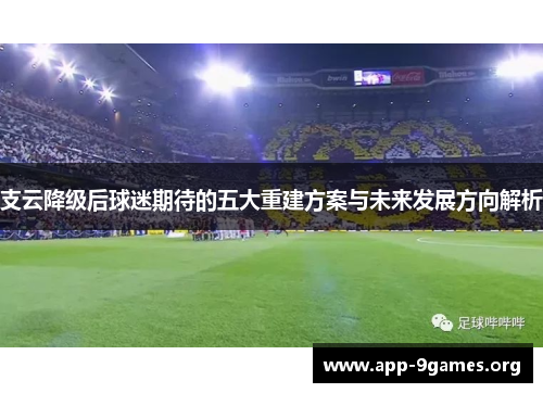 支云降级后球迷期待的五大重建方案与未来发展方向解析