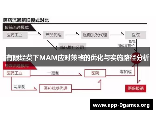 有限经费下MAM应对策略的优化与实施路径分析