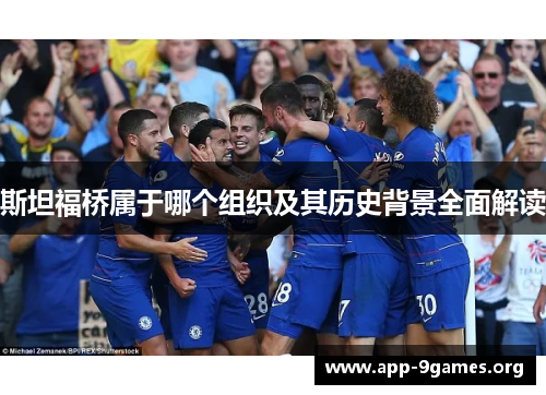 斯坦福桥属于哪个组织及其历史背景全面解读