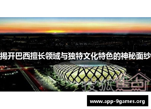 揭开巴西擅长领域与独特文化特色的神秘面纱