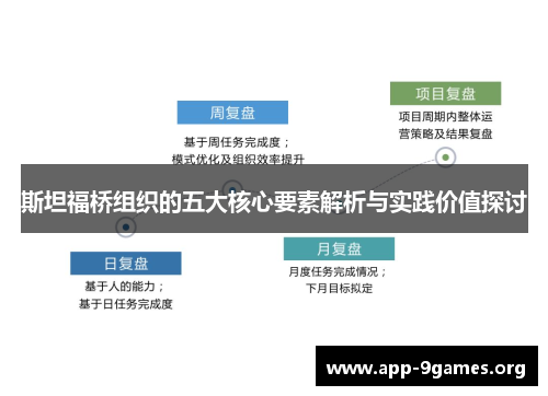 斯坦福桥组织的五大核心要素解析与实践价值探讨